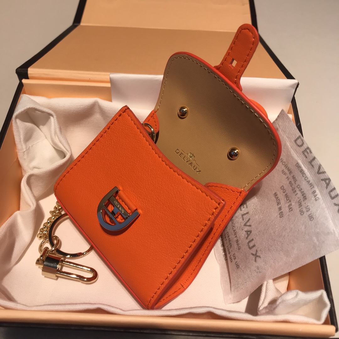 델보 브리앙 MM 박스백 미니